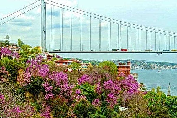 Istanbul-Bosphorus-and-Black-Sea-Cruise Bosphorus Cruises